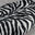 White Zebra/Tiger