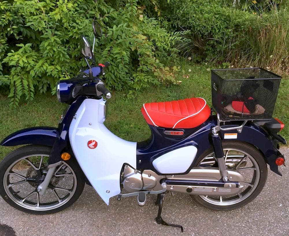 Honda c125 super cub 2019 top